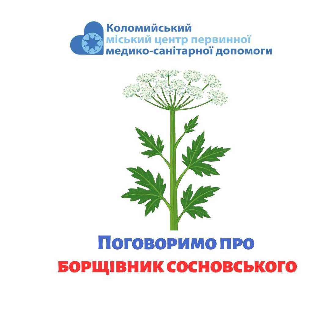 Небезпека борщівника Сосновського Небезпека борщівника Сосновського